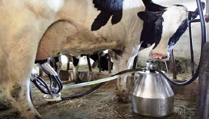 Largest producer of milk is India