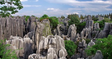 The Stone Forest in China