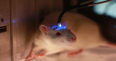 mouse study-Netmarkers