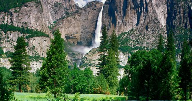 Yosemite National Park expectations- Netmarkers