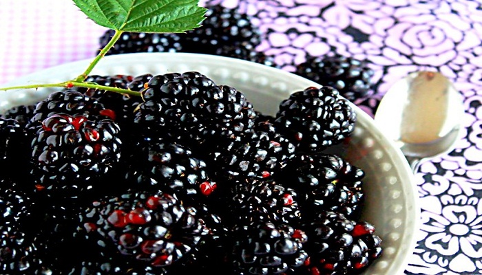 Blackberry juice-Netmarkers