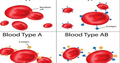 Blood types-Netmarkers