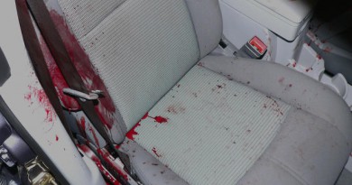 Blood was found in the Martin's car- Jennie's story in New York- Netmarkers