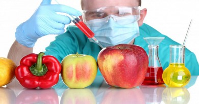 GMO foods-Netmarkers