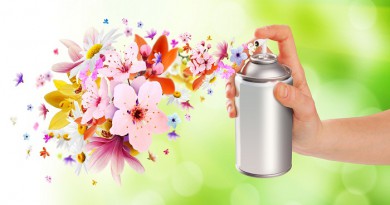 Flower-scented room sprays and flowers from inside - 2