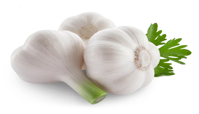 garlic effects-Netmarkers