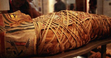 Egyptian Mummies -Netmarkers