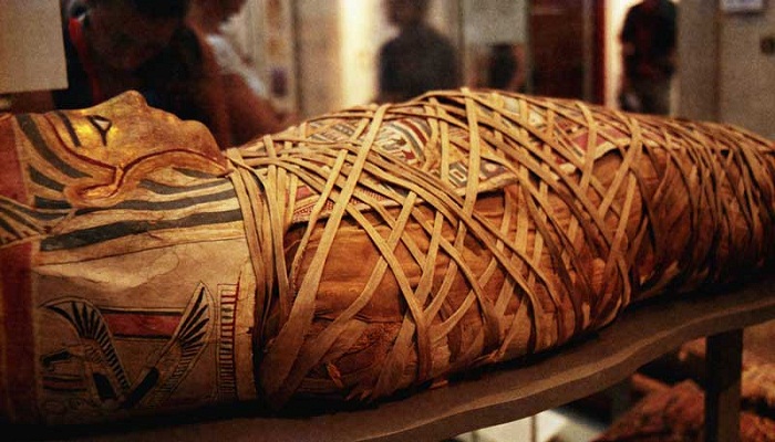 Egyptian Mummies -Netmarkers