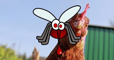 Chickens-and-mosquitoes-Netmarkers