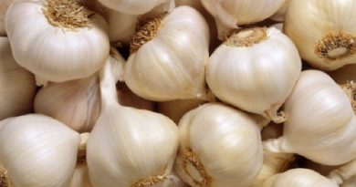 Garlic to Prevent-Clogged-Arteries-Netmarkers