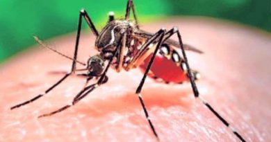 zika virus-Netmarkers