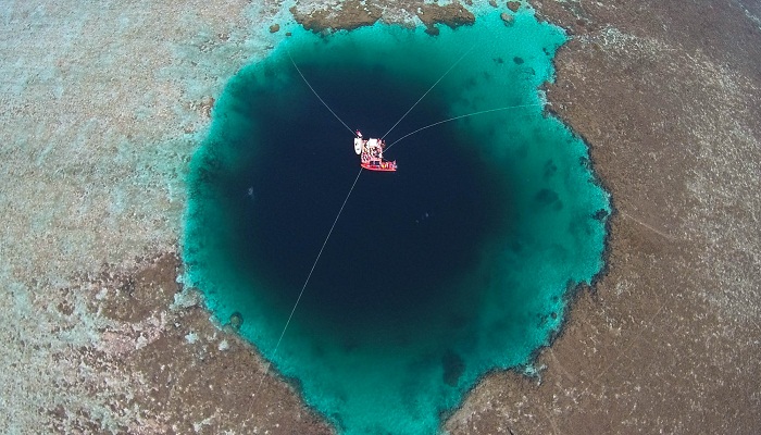deepest blue hole-Netmarkers