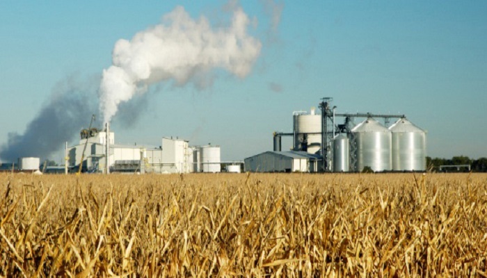 biofuels harms-Netmarkers