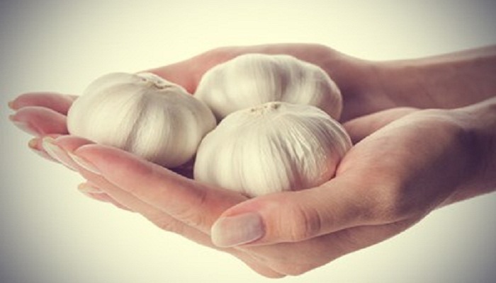 garlic benefits for pregnant women-Netmarkers