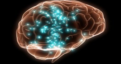 memory in brain-Netmarkers