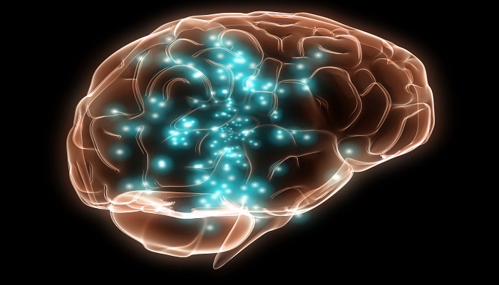 memory in brain-Netmarkers