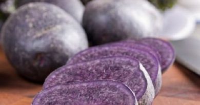purple potatoes prevent cancer-Netmarkers