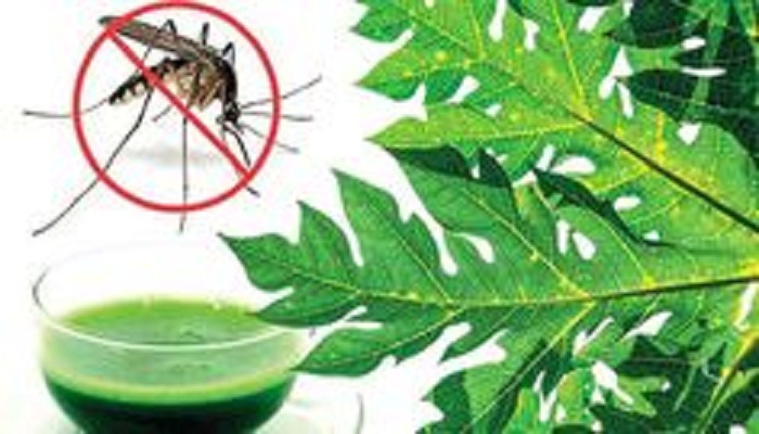 methods-to-treat-chikunguniya-at-home-netmarkers