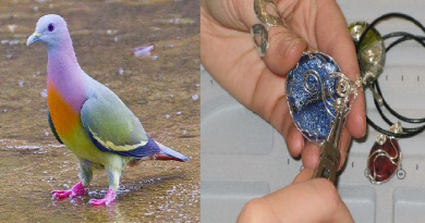 make-jewellry-by-pigeon-netmarkers