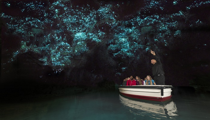 the-waitomo-glowworm-caves-new-zealand-netmarkers