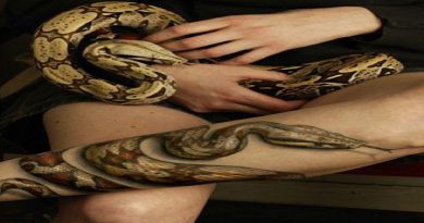 3d-tattoos-snake-netmarkers