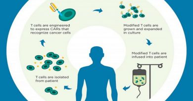 t-cell-therapy-will-be-the-last-resort-in-fighting-cancer-netmarkers