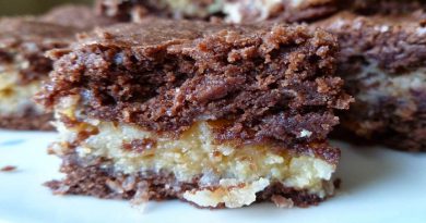Coconut Macaroon Brownies-Netmarkers