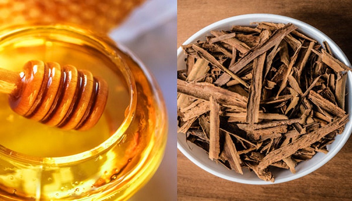 honey-and-cinnamon-is-an-ancient-remedy-for-disease-netmarkers