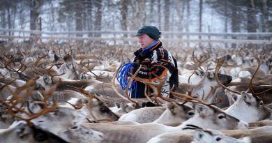 reindeer-norway-netmarkers