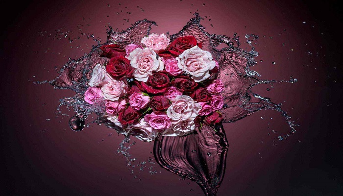 Splashing-roses-Netmarkers