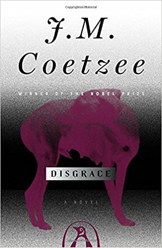 Disgrace book cover-Netmarkers