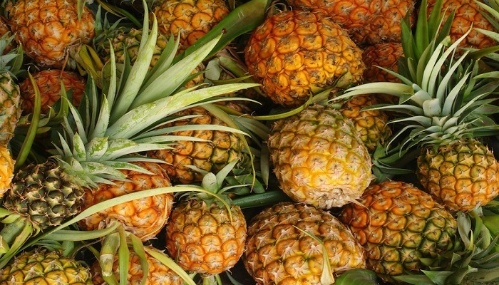 pineapple-netmarkers