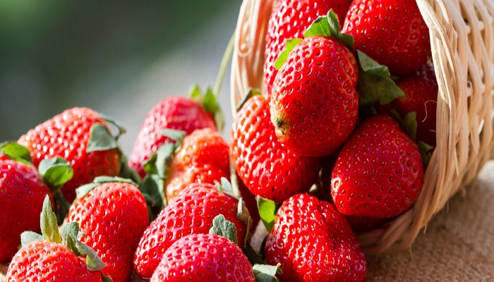 strawberry-netmarkers