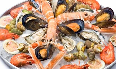 seafood1-netmarkers