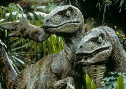 Velociraptor-netmarkers
