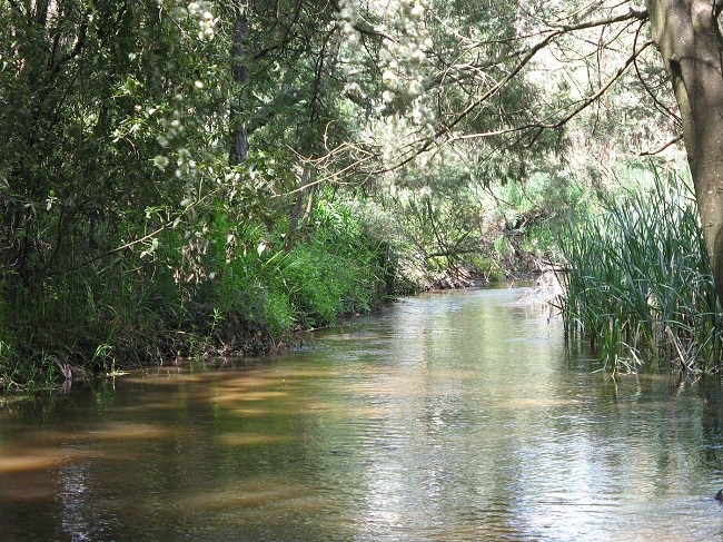 Yarra-River-netmarkers