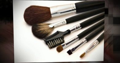 Best Professional Makeup Brushes For You-netmarkers