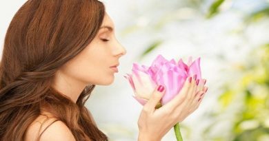 lotus fruit benefits in acne-Netmarkers